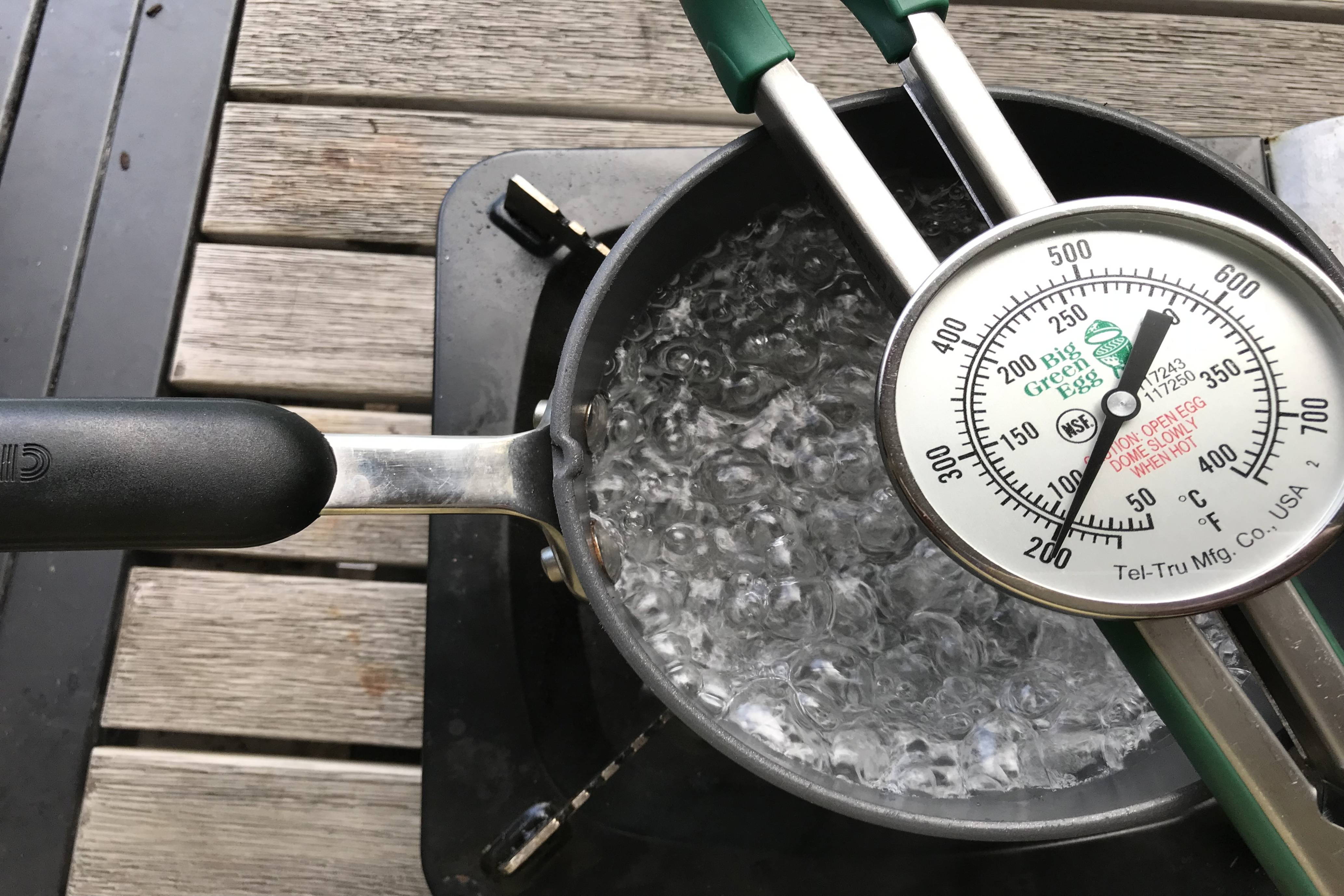 Big Green Egg Bluetooth Dome Thermometer