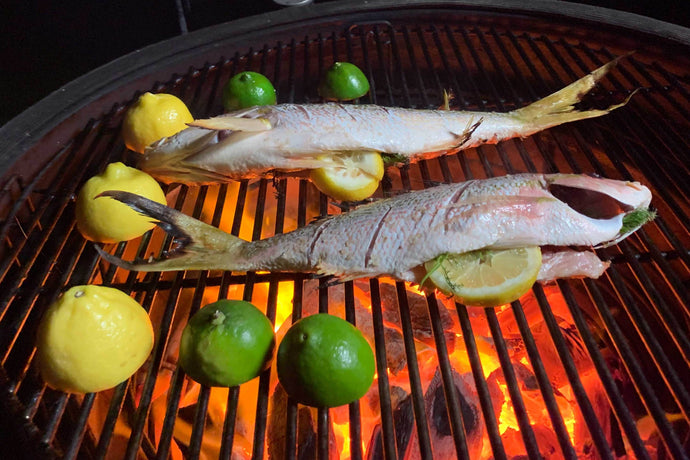 Grilled Yellowtail