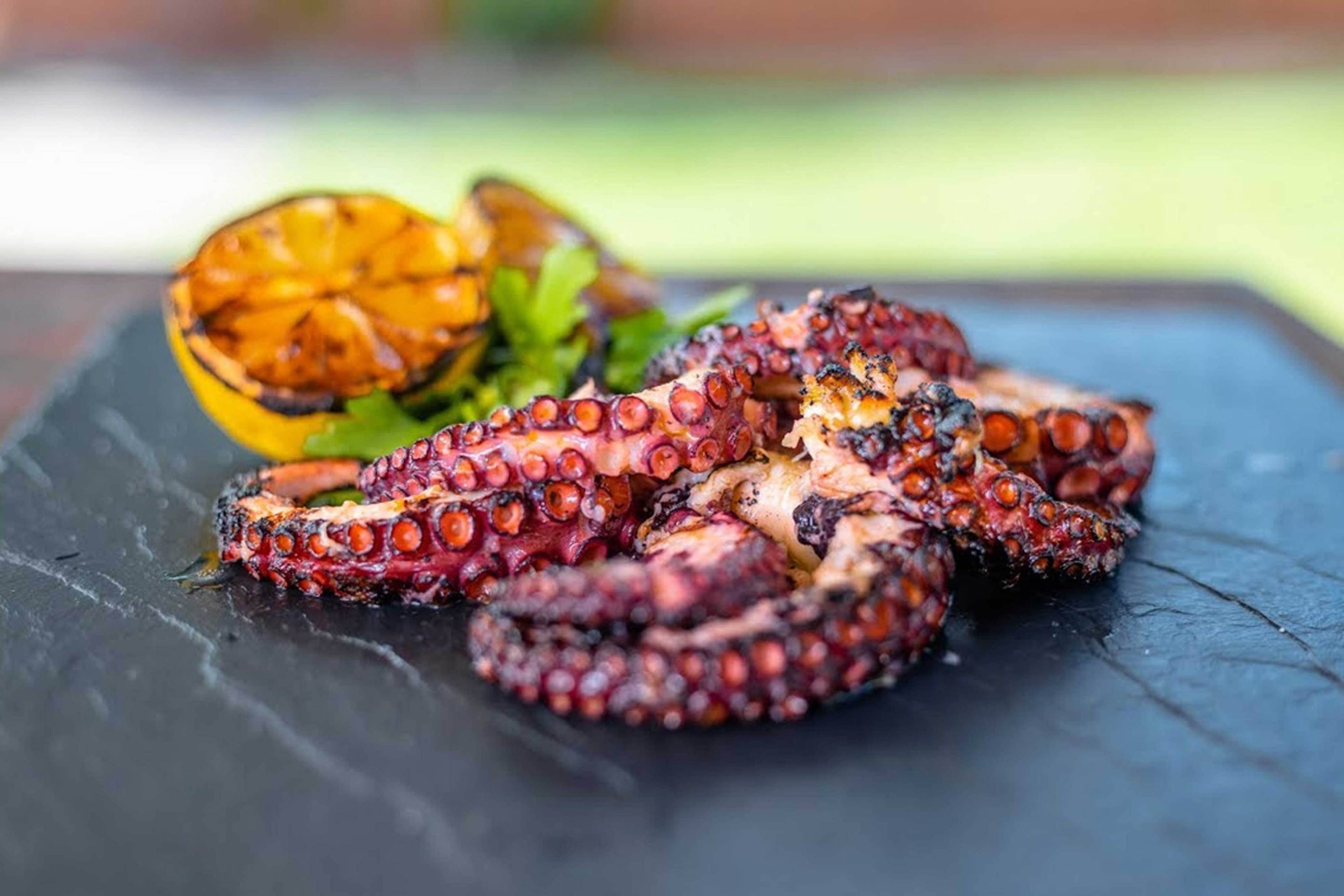 Grilled Octopus – FogoCharcoal.com